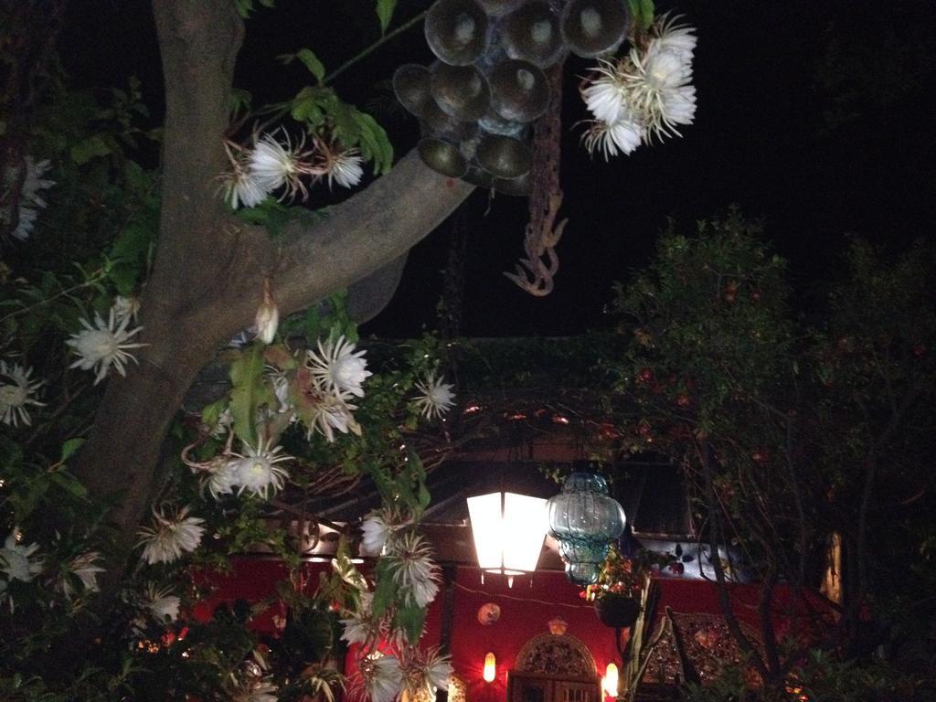 틀라케파케 Casa De Las Flores B&B 외부 사진