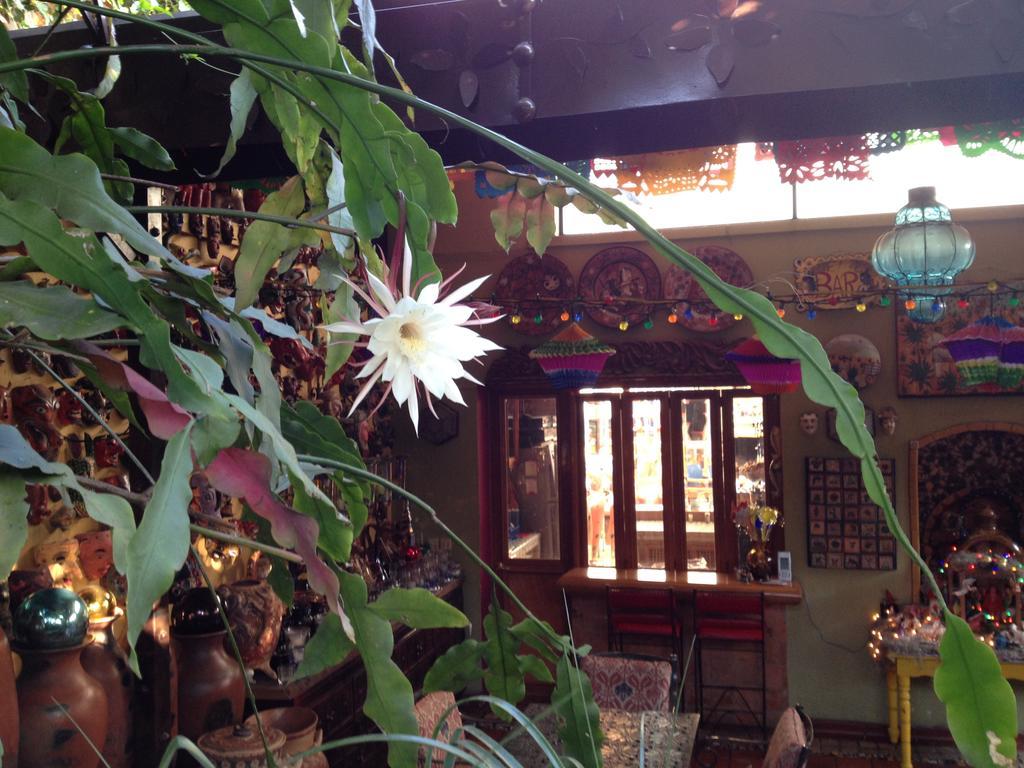 틀라케파케 Casa De Las Flores B&B 외부 사진