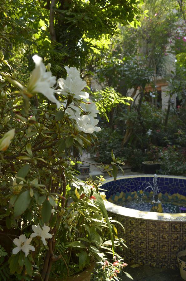 틀라케파케 Casa De Las Flores B&B 외부 사진